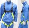 AG-SH300: SAFETY HARNESS
